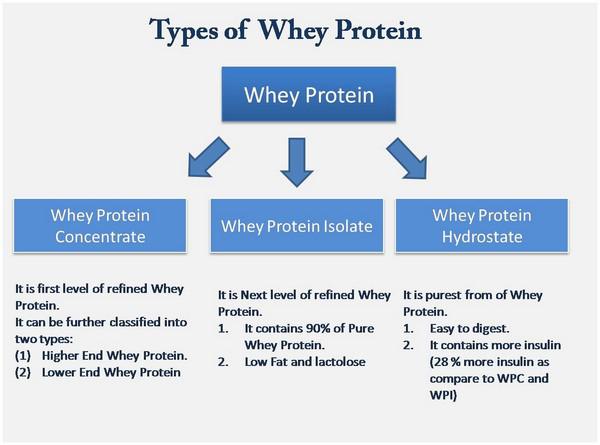 Benefits of Whey Protein