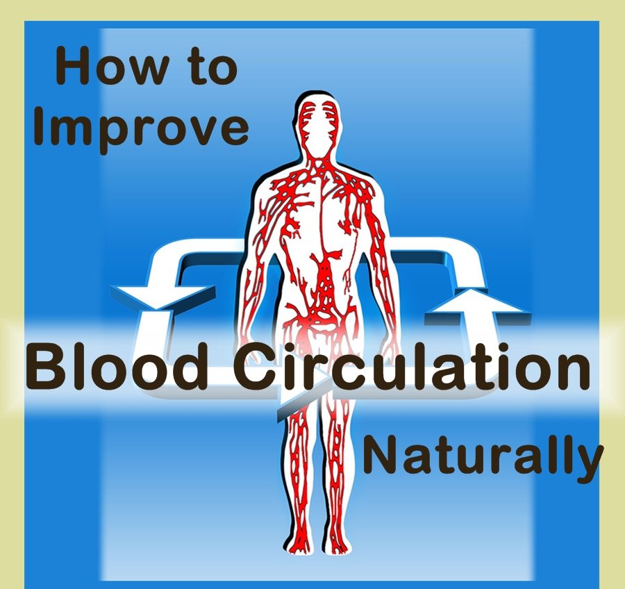 Improve Blood Circulation