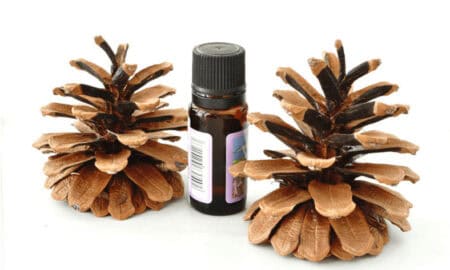 cedarwood essential oil