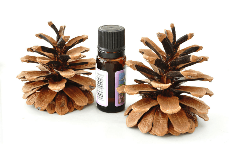 cedarwood essential oil