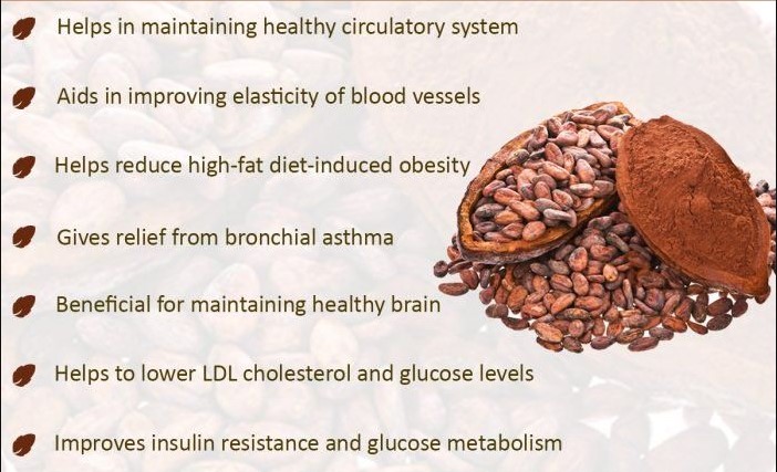 7 Nutrition And Health Benefits Of Cocoa Powder