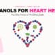 Flat-lay arrangement of flavanol-rich foods including plums, blackberries, cranberries, blueberries, green tea, and apples forming a heart shape on white background
