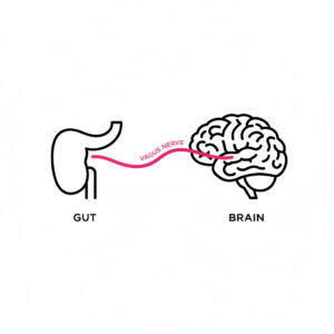 Diagram showing intermittent fasting and brain health connection through the gut-brain axis