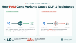 Infographic explaining how PAM gene variants reduce GLP-1 biological effectiveness compared to normal PAM function 