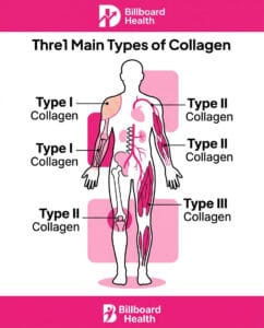 Infographic showing Type I, Type II, and Type III collagen locations in the human body including skin, joints, and muscles