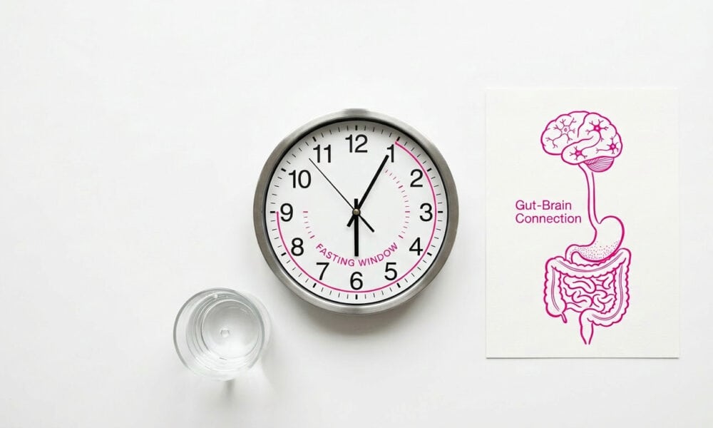Intermittent fasting and brain health concept showing the gut-brain connection