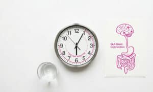 Intermittent fasting and brain health concept showing the gut-brain connection
