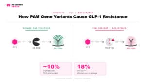  Infographic explaining how PAM gene variants reduce GLP-1 biological effectiveness compared to normal PAM function