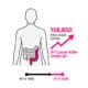 Infographic showing colorectal cancer in young adults warning signs and 2026 statistics including 3% annual rise in ages 20–49 and 158,850 estimated new US cases