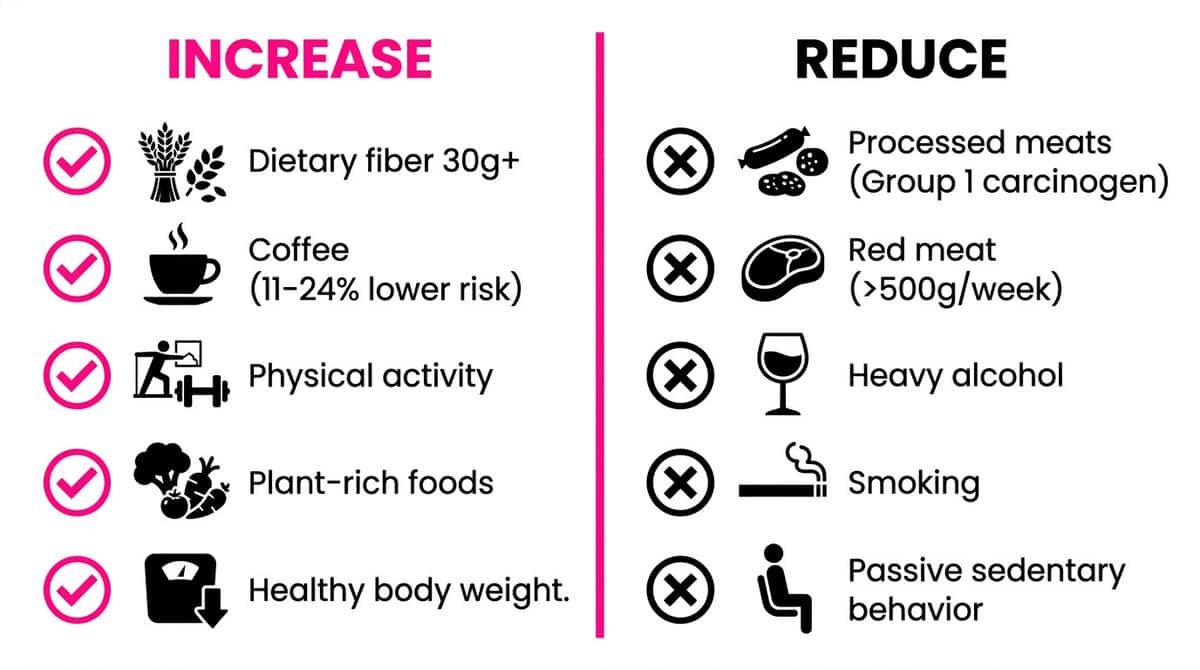Two-column diet and lifestyle prevention guide showing what to increase (fiber, coffee, exercise, plants) and what to reduce (processed meat, alcohol, smoking) to lower colorectal cancer risk