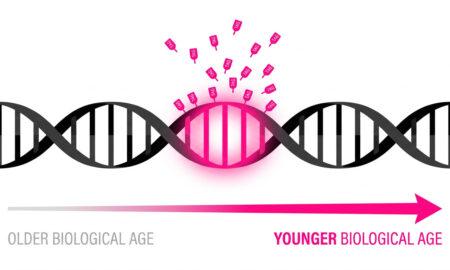 Infographic showing how to slow biological aging through lifestyle and semaglutide interventions with DunedinPACE and Horvath clock measurements.