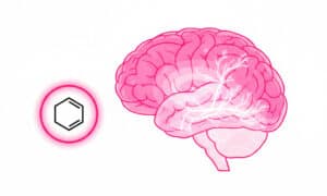 Brain MRI comparison showing vitamin C and brain health link — higher vitamin C levels correspond to greater gray matter volume in older adults.