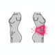 Diagram showing why belly fat increases with age through CP-A stem cell activation in middle age, illustrated as a split silhouette comparison.