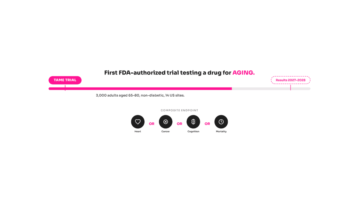 TAME trial timeline showing the first FDA-authorized anti-aging drug trial with results expected 2027–2028