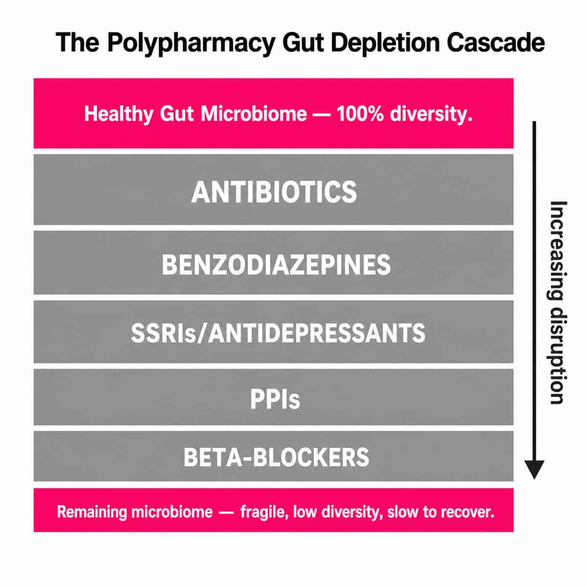 Do Your Medications Damage Your Gut? What 2,500 People's Prescription Records Revealed Stacked layer diagram showing how multiple medications cumulatively deplete gut microbiome diversity — antibiotics, benzodiazepines, SSRIs, PPIs, and beta-blockers each removing bacterial layers.