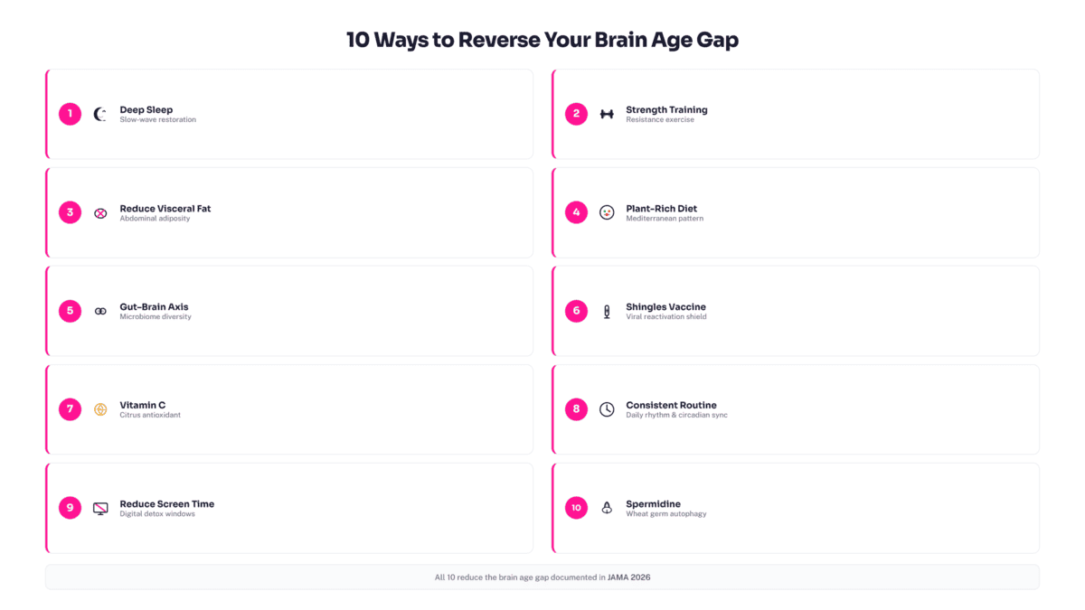 Signs of Dementia Decades Early: How Your Sleep Brain Waves Predict Alzheimer's Risk (2026 AI Study) "Ten-action dementia prevention plan covering deep sleep, strength training, visceral fat reduction, Mediterranean diet, gut health, shingles vaccine, vitamins, routine, screen time reduction, and spermidine.