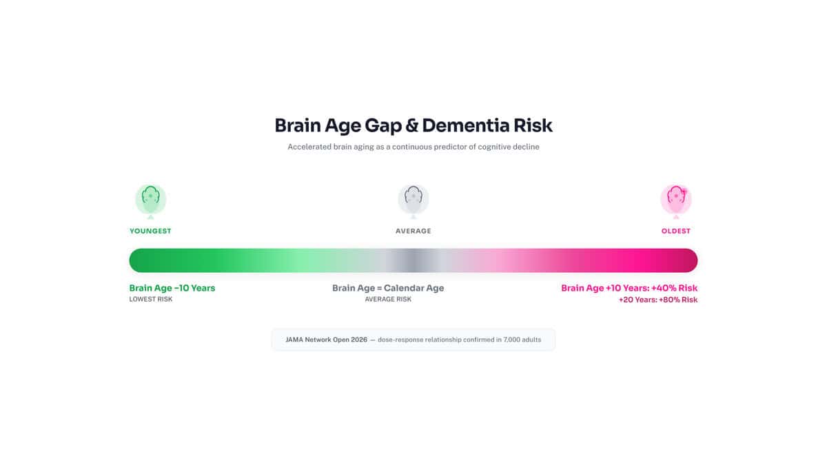 Signs of Dementia Decades Early: How Your Sleep Brain Waves Predict Alzheimer's Risk (2026 AI Study) "Brain age gap dementia risk gradient showing from lowest risk at -10 year gap through average risk to 40% higher risk at +10 years and 80% higher risk at +20 years."