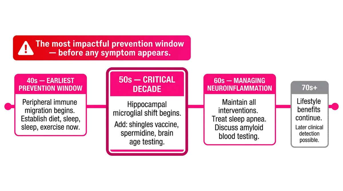 Brain Inflammation and Alzheimer's: The 2026 Stanford Discovery That Changes Everything We Know About Dementia Decade-by-decade brain inflammation prevention timeline from the 40s earliest prevention window through the critical 50s hippocampal shift decade to managing established neuroinflammation in the 60s and beyond.