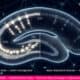 Diagram showing depression and the brain connection — hippocampal neurogenesis stalls in major depressive disorder based on Columbia 2026 Nature Medicine study analyzing 500,000 brain cells.