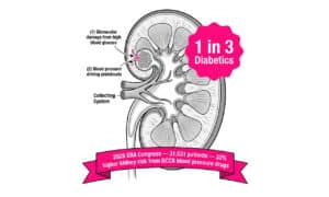 Diagram showing diabetic kidney disease stages by eGFR and albuminuria level with 2026 ERA Congress finding that DCCB blood pressure drugs raise kidney risk by 33%.