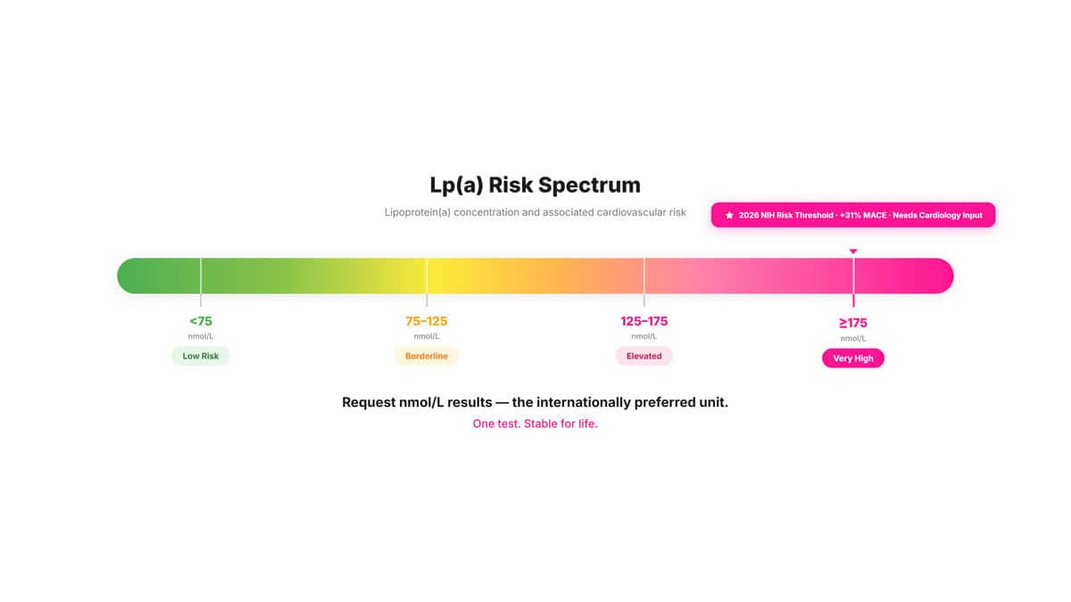 Lipoprotein(a): The Hidden Heart Risk 1 in 5 People Carry — And How to Find Out If You're One of Them Lipoprotein(a) risk level scale from below 75 nmol/L low risk through the 2026 NIH high-risk threshold of 175 nmol/L or above associated with 31% higher cardiovascular event risk.