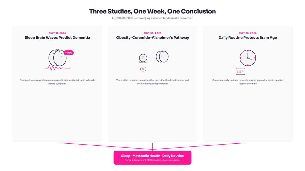 Signs of Dementia Decades Early: How Your Sleep Brain Waves Predict Alzheimer's Risk (2026 AI Study) Three converging July 2026 dementia studies: JAMA sleep brain age, obesity-ceramide-Alzheimer's pathway, and circadian daily routine — all pointing to the same prevention lifestyle.