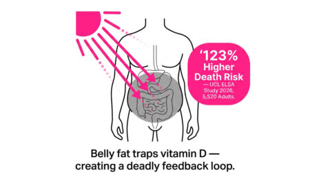 Diagram showing vitamin D deficiency and belly fat feedback loop from UCL ELSA 2026 study — belly fat traps vitamin D causing 123% higher mortality risk in over-50s.