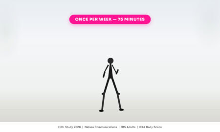 Diagram comparing interval walking once a week to lose belly fat vs three times per week showing equivalent DXA body fat reduction from HKU 2026 Nature Communications study.