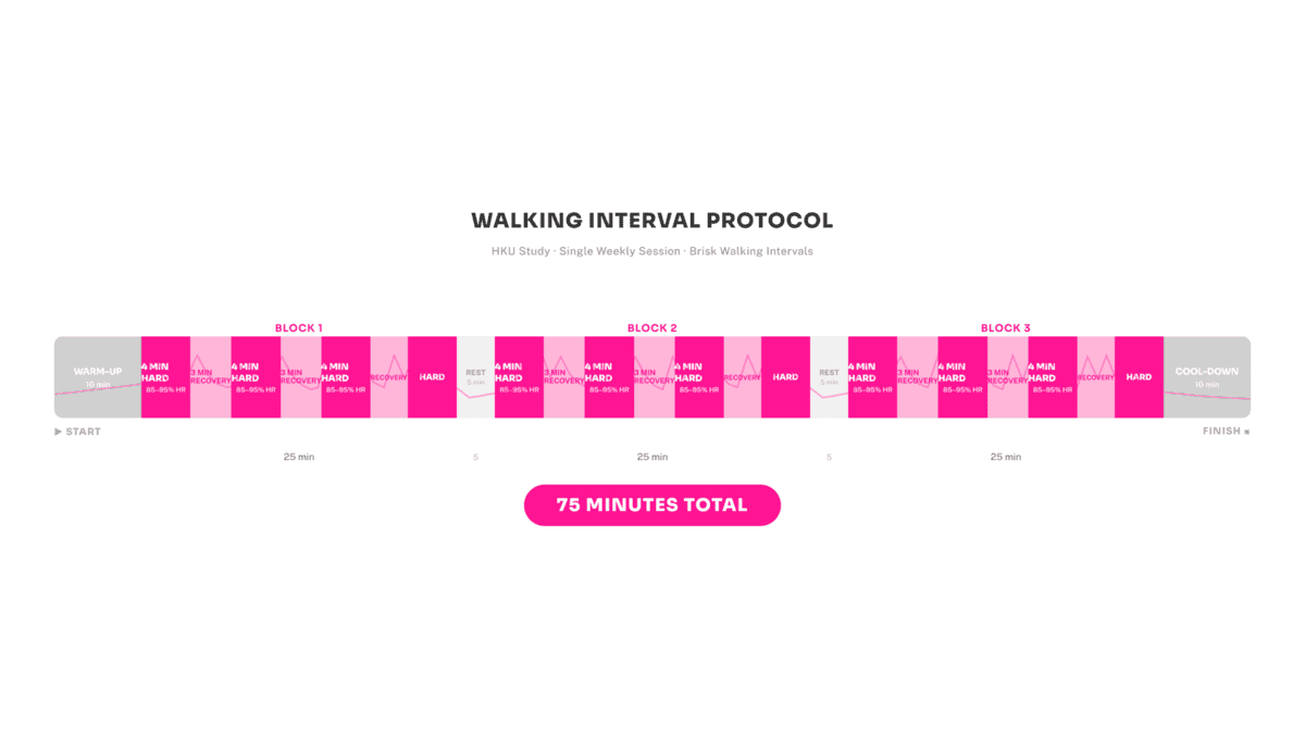 Full 75-minute interval walking protocol timeline showing 10-minute warm-up, three 25-minute blocks of 4-minute hard / 3-minute recovery cycles, rest breaks, and cool-down.