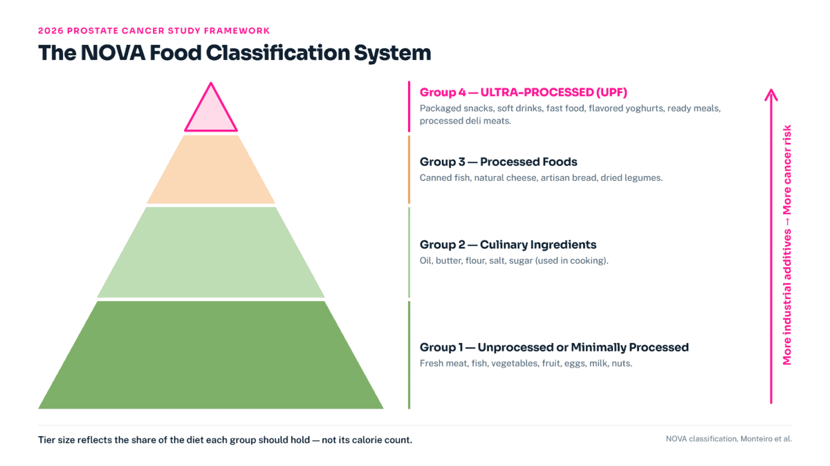 NOVA food classification four-tier pyramid showing Group 1 whole foods at the base through Group 4 ultra-processed foods at the top with associated cancer risk increase arrow.